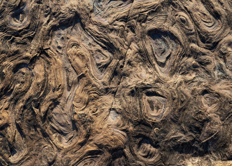 Mind Maze /1