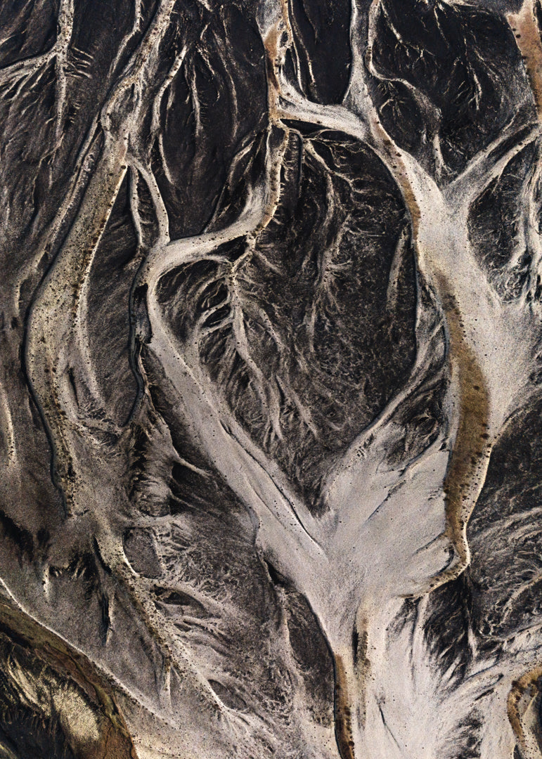 Roots