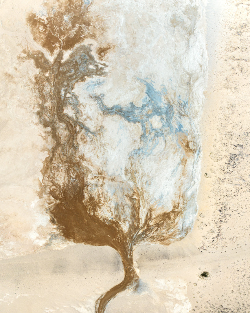 NATURAL FORMS