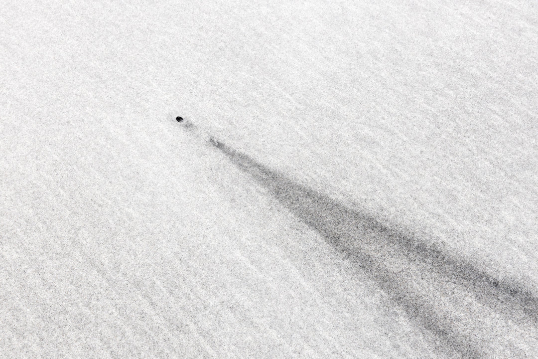 Vanishing Lines /2