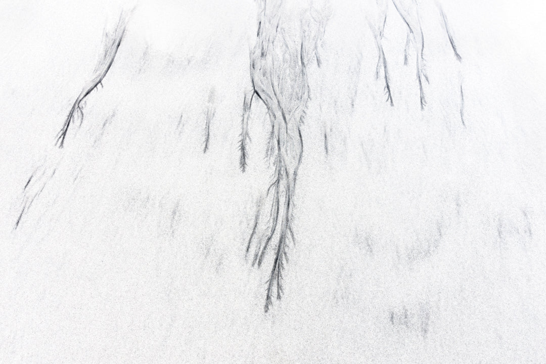 Vanishing Lines /5