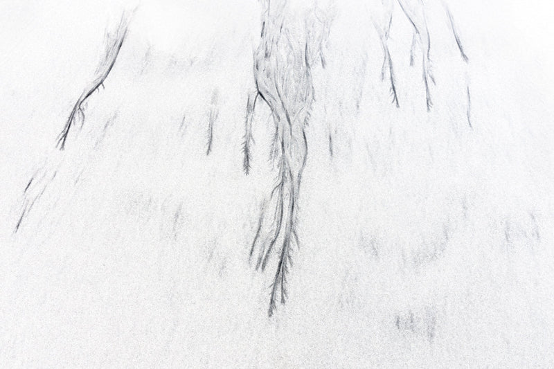 Vanishing Lines /5