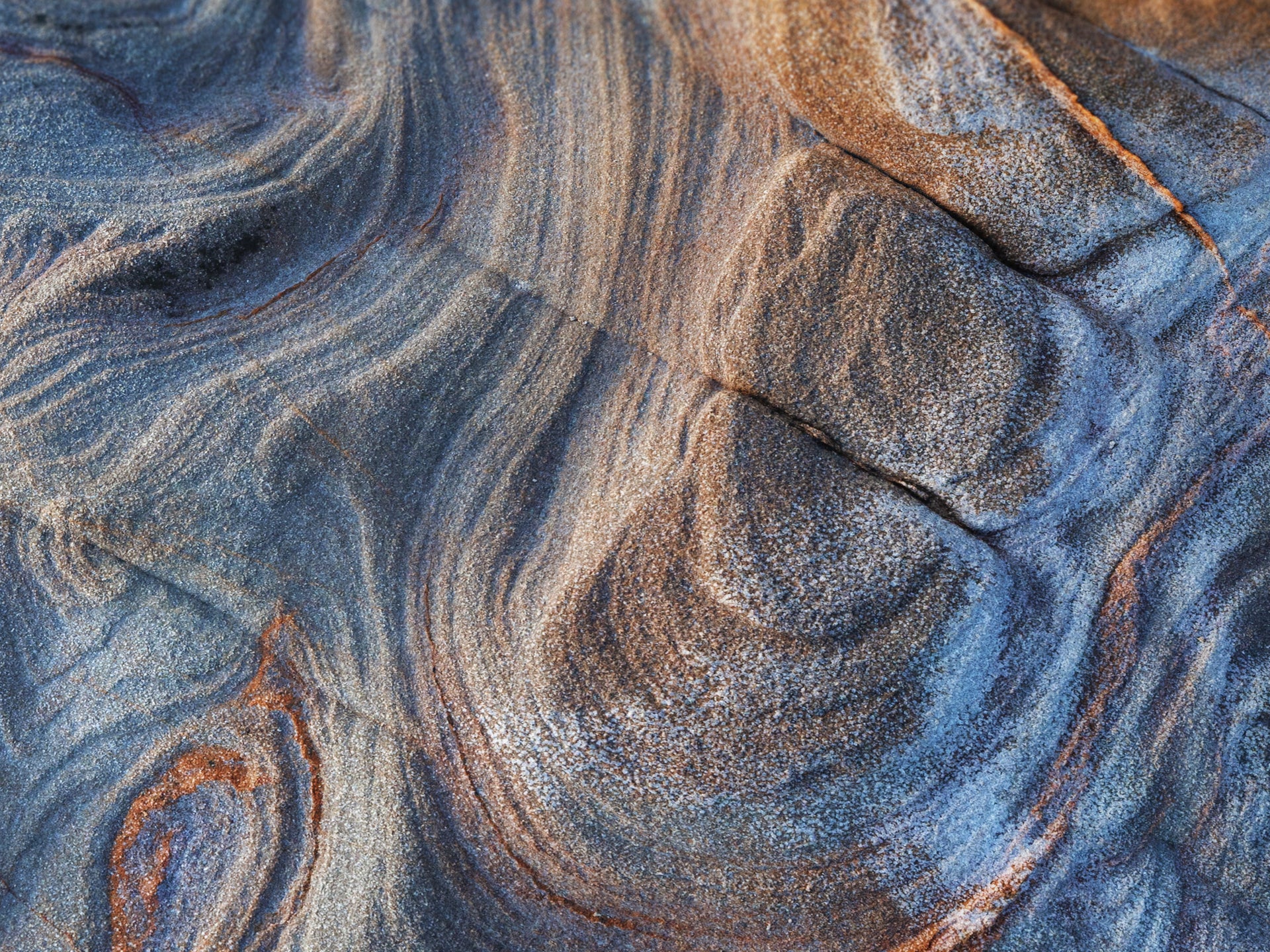Fluid