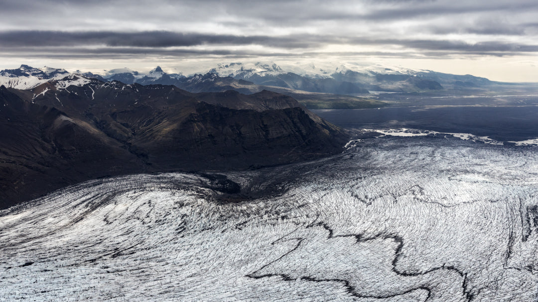 Arctic Guardians /1