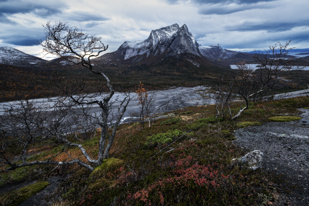 Northern Stillness