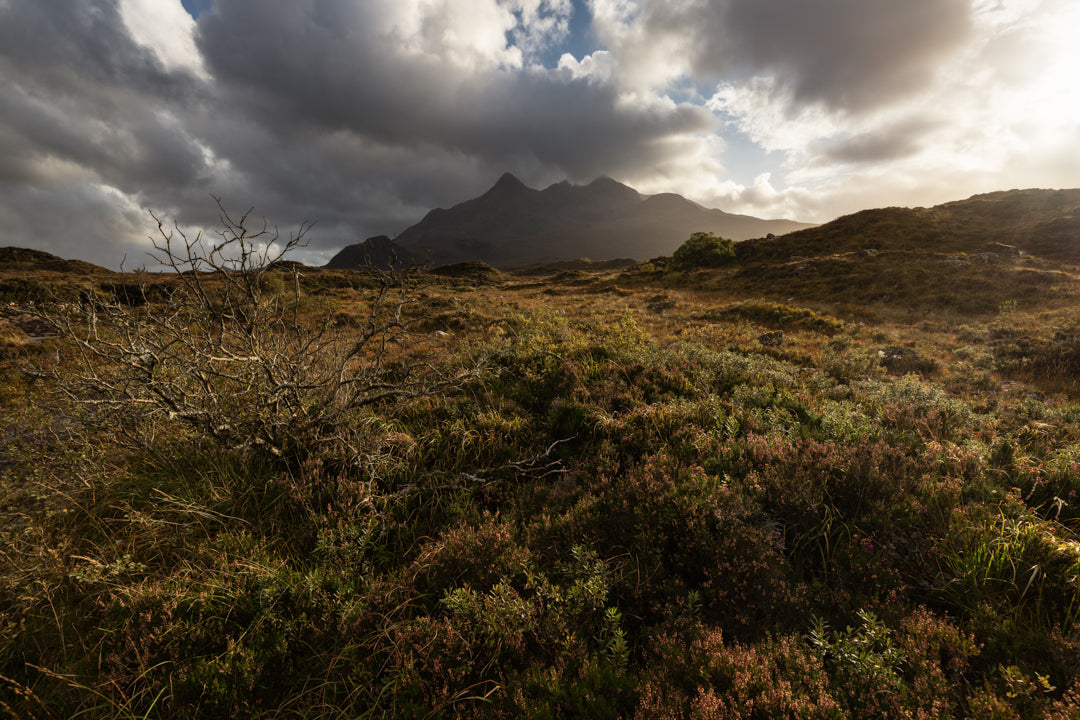 Middle Lands