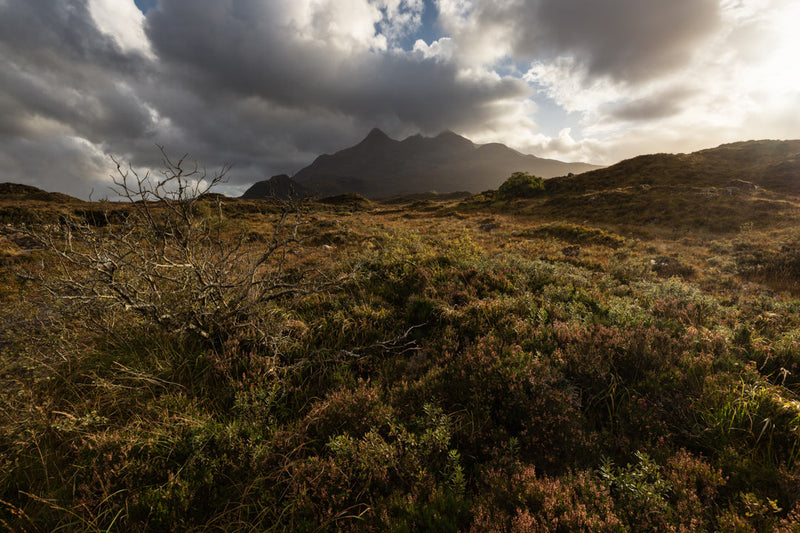Middle Lands