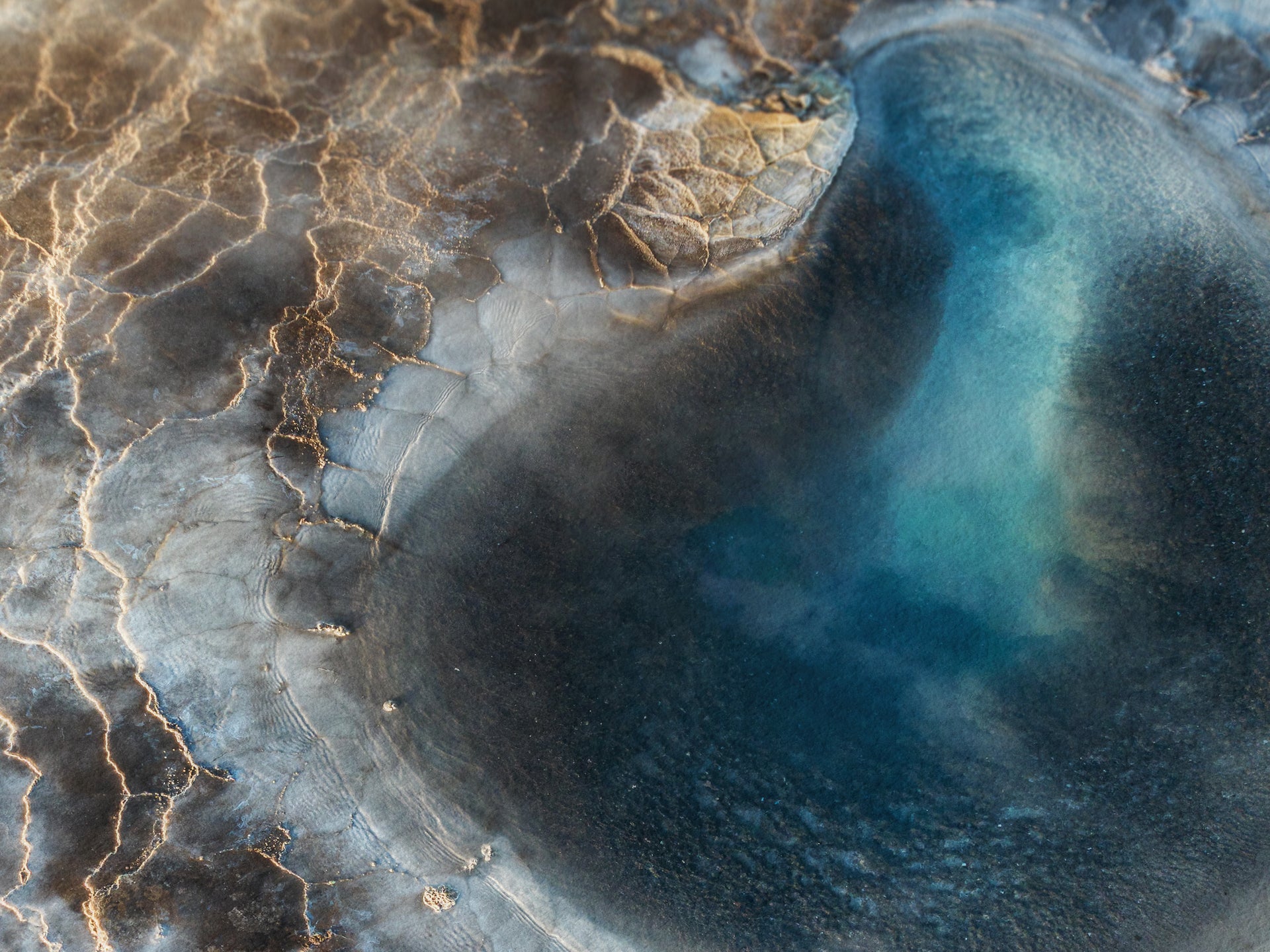 Quantum Oasis