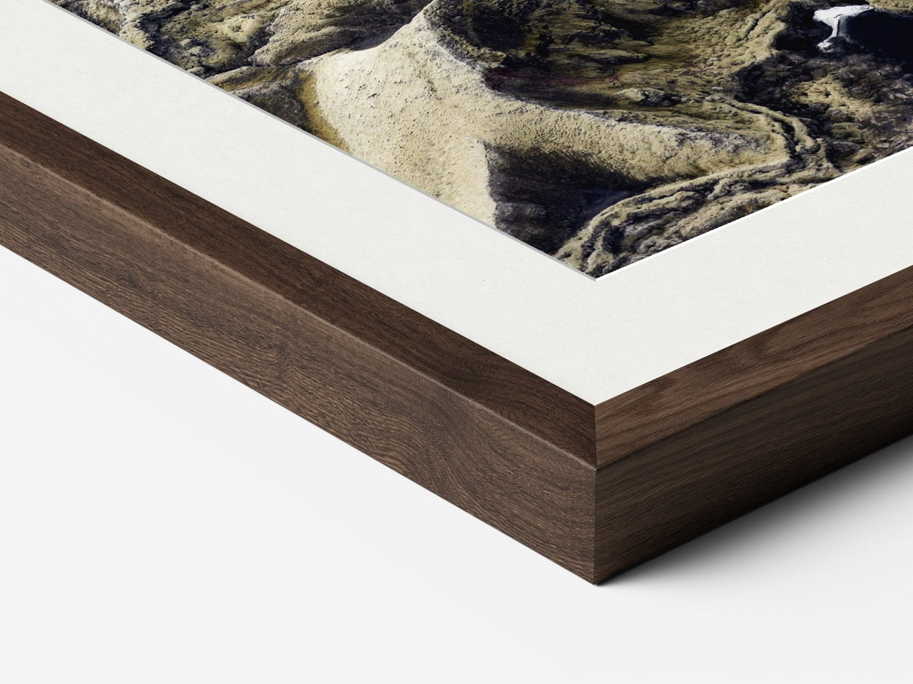 Signs of Rebirth /3