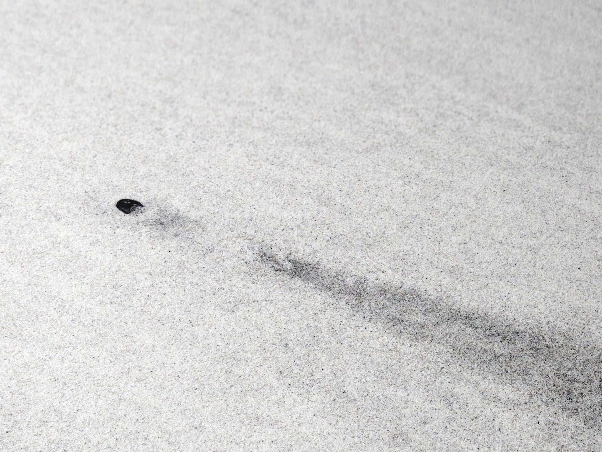 Vanishing Lines /2